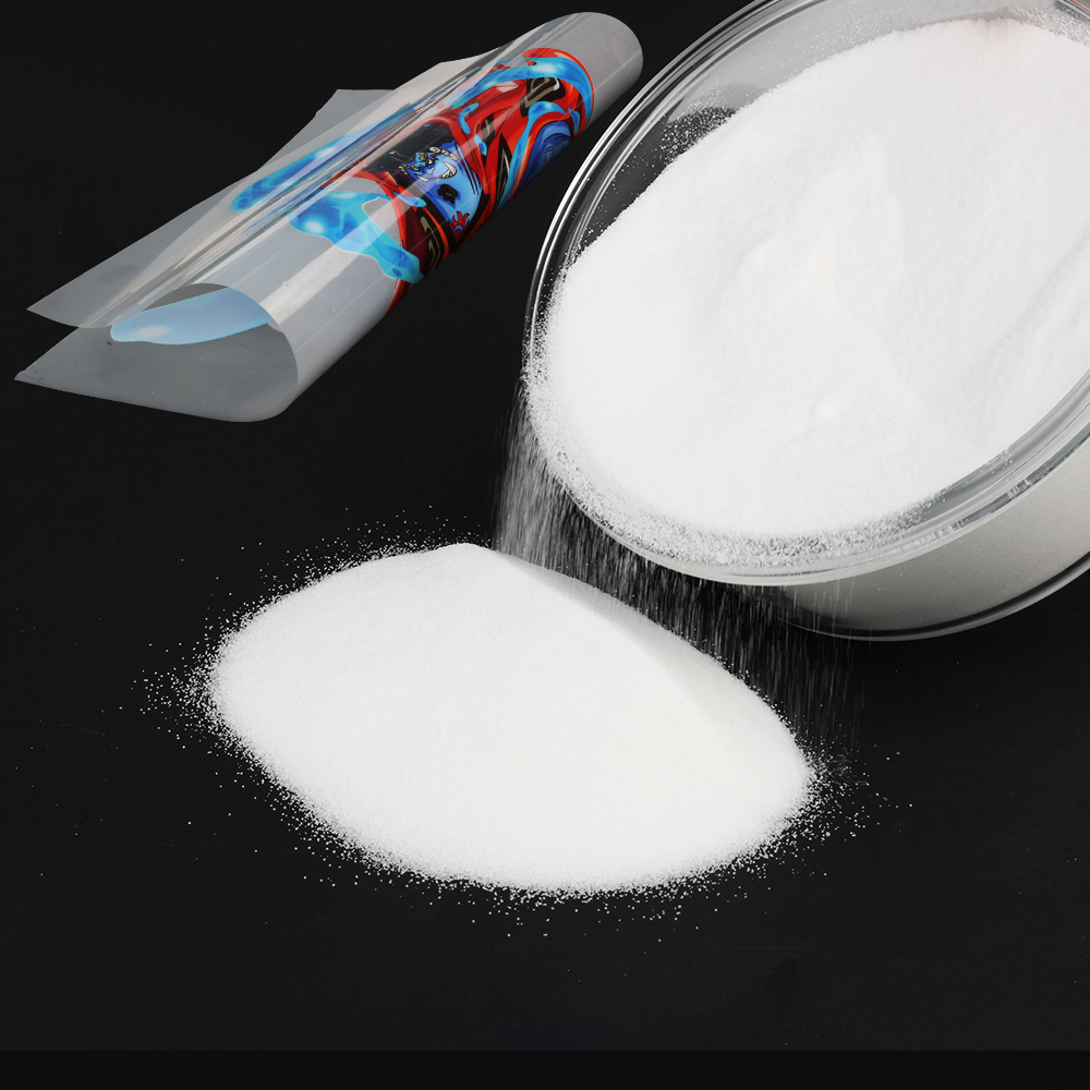 1000g 1kg DTF powder Fine powd - Direct To Garment Ink avis et prix