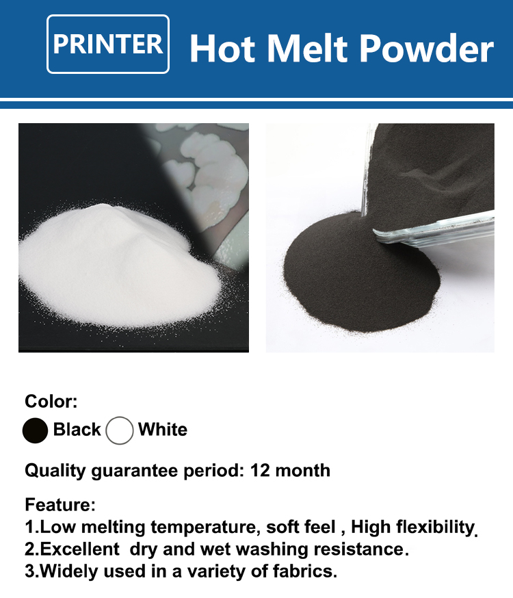 1000g 1kg DTF powder Fine powd - Direct To Garment Ink avis et prix