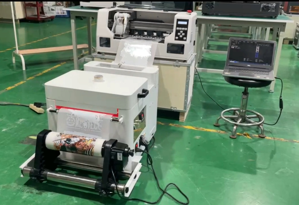 30CM DTF Printer with Single H - Commercial Dtf Printing avis et prix